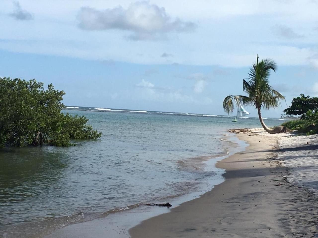 Polinesia Resort - Porto De Galinhas - Apartamentos Com Somente 1 Opcao De Terreo Com Piscina Privativa - Acesso Ao Hotel Samoa מראה חיצוני תמונה